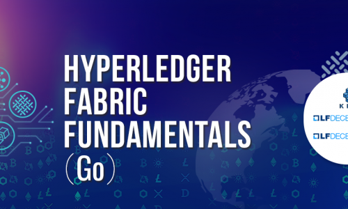 Hyperledger Fabric Fundamentals(Go)