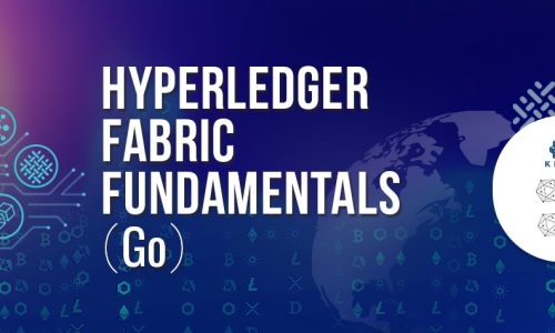 Hyperledger Fabric Fundamentals(Go)