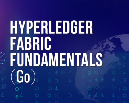 Hyperledger Fabric Fundamentals(Go)