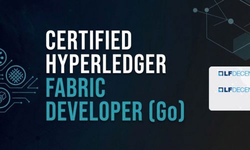 Protected: Certified Hyperledger Fabric Developer(Go)